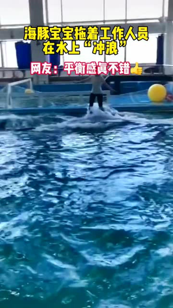 免费加入知识星球平台库里回应詹姆斯支持自己得mvp,库里与詹姆斯谁的球技更胜一筹?,一站式获取深度知识